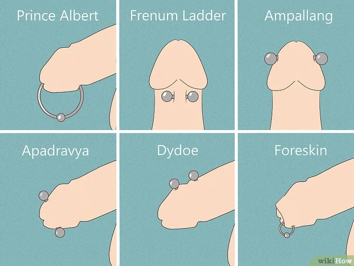 Ultimate Guide to Dick Piercings Types, Pain & Aftercare